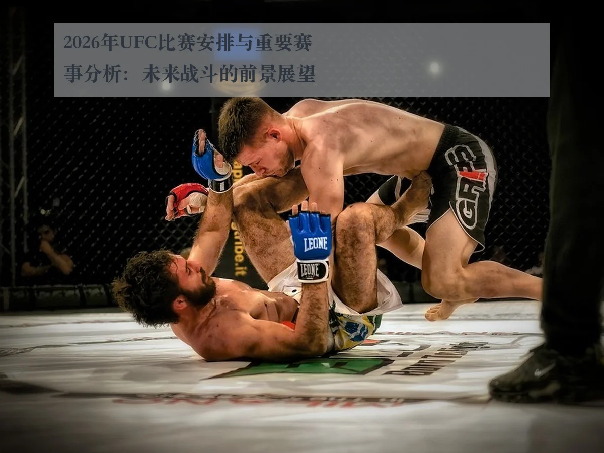 2026年UFC比赛安排与重要赛事分析：未来战斗的前景展望